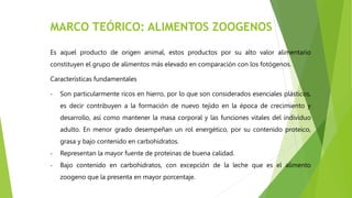 MARCO TEÓRICO: ALIMENTOS ZOOGENOS
Es aquel producto de origen animal, estos productos por su alto valor alimentario
constituyen el grupo de alimentos más elevado en comparación con los fotógenos.
Características fundamentales
- Son particularmente ricos en hierro, por lo que son considerados esenciales plásticos,
es decir contribuyen a la formación de nuevo tejido en la época de crecimiento y
desarrollo, así como mantener la masa corporal y las funciones vitales del individuo
adulto. En menor grado desempeñan un rol energético, por su contenido proteico,
grasa y bajo contenido en carbohidratos.
- Representan la mayor fuente de proteínas de buena calidad.
- Bajo contenido en carbohidratos, con excepción de la leche que es el alimento
zoogeno que la presenta en mayor porcentaje.
 