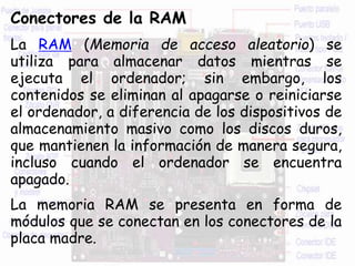 Conectores de la RAM
La RAM (Memoria de acceso aleatorio) se
utiliza para almacenar datos mientras se
ejecuta el ordenador; sin embargo, los
contenidos se eliminan al apagarse o reiniciarse
el ordenador, a diferencia de los dispositivos de
almacenamiento masivo como los discos duros,
que mantienen la información de manera segura,
incluso cuando el ordenador se encuentra
apagado.
La memoria RAM se presenta en forma de
módulos que se conectan en los conectores de la
placa madre.
 