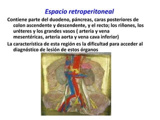 Espacio retroperitonealContiene parte del duodeno, páncreas, caras posteriores de colon ascendente y descendente, y el recto; los riñones, los uréteres y los grandes vasos ( arteria y vena mesentéricas, arteria aorta y vena cava inferior)La característica de esta región es la dificultad para acceder al diagnóstico de lesión de estos órganos