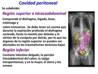          Cavidad peritoneal    Se subdivide:Región superior o tóracoabdominalComprende el diafragma, hígado, bazo, estómago y    colon transverso.  Se debe tener en cuenta que durante la espiración profunda el diafragma asciende, hasta la mamila por delante y el vértice de la escápula por detrás, por lo que los órganos de la región superior se pueden ver afectados en los traumatismos torácicos bajosRegión inferior     Contiene intestino delgado, la porción intraabdominal del colon, la vejiga intraperitoneal, y en la mujer, el útero y los anexos
