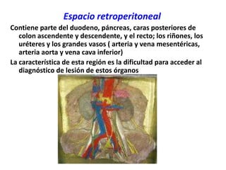 Espacio retroperitonealContiene parte del duodeno, páncreas, caras posteriores de colon ascendente y descendente, y el recto; los riñones, los uréteres y los grandes vasos ( arteria y vena mesentéricas, arteria aorta y vena cava inferior)La característica de esta región es la dificultad para acceder al diagnóstico de lesión de estos órganos