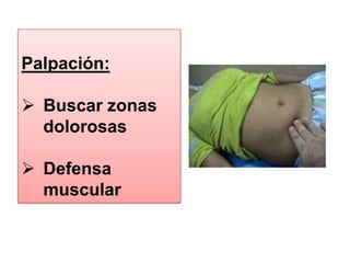 PercusiónInspección:Buscar Lesiones que alerten de daños interno