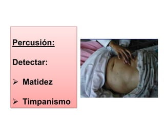 Fx. Costillas 5a –11aAuscultación:Ausencia de ruidos peristálticos