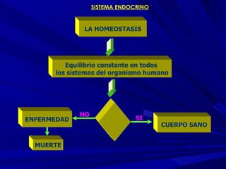 SISTEMA ENDOCRINO LA HOMEOSTASIS Equilibrio constante en todos  los sistemas del organismo humano SI NO ENFERMEDAD CUERPO SANO MUERTE 