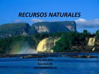 RECURSOS NATURALES

Integrante:
•Carlota Hernandez
21.425.064
Seccion:30
INFORMATICA III

 