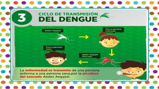 Diapo el dengue