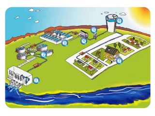 Floculación del Agua