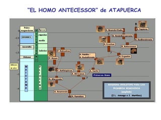 “ EL HOMO ANTECESSOR” de ATAPUERCA
