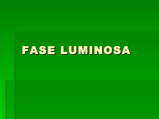 FASE LUMINOSA 