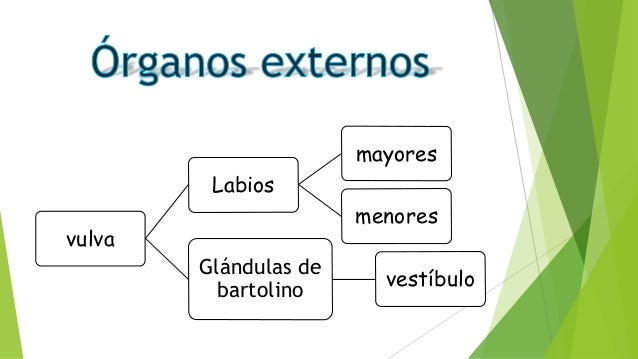orgasmos reales grasa orgasmos reales grasa