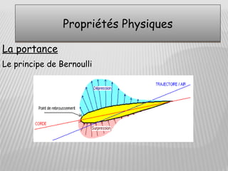 Propriétés Physiques

La portance
Le principe de Bernoulli
 