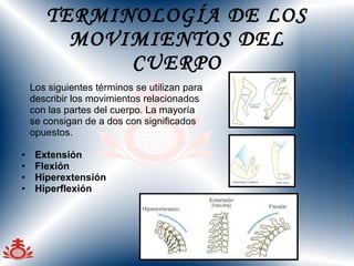TERMINOLOGÍA DE LOS MOVIMIENTOS DEL CUERPO Los siguientes términos se utilizan para  describir los movimientos relacionados  con las partes del cuerpo. La mayoría  se consigan de a dos con significados  opuestos. Extensión Flexión Hiperextensión Hiperflexión 