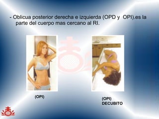 - Oblicua posterior derecha e izquierda (OPD y  OPI).es la parte del cuerpo mas cercano al RI.  (OPI) (OPI)   DECUBITO 