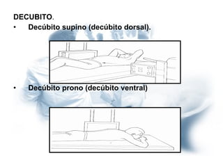 DECUBITO .  Decúbito supino (decúbito dorsal).   Decúbito prono (decúbito ventral)   