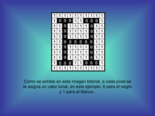 Como se exhibe en esta imagen bitonal, a cada píxel se le asigna un valor tonal, en este ejemplo: 0 para el negro y 1 para el blanco.  