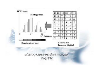HISTOGRAMA DE UNA IMAGEN DIGITAL 