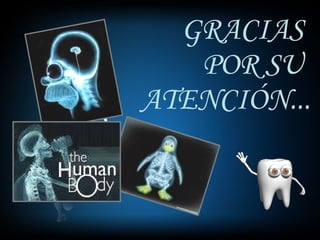 GRACIAS  POR SU  ATENCIÓN... 