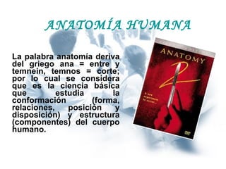 ANATOMÍA HUMANA La palabra anatomía deriva del griego ana = entre y temnein, temnos = corte; por lo cual se considera que es la ciencia básica que estudia la conformación (forma, relaciones, posición y disposición) y estructura (componentes) del cuerpo humano. 