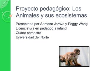Proyecto pedagógico: Los Animales y sus ecosistemas Presentado por SamanaJarava y Peggy Wong Licenciatura en pedagogía infantil Cuarto semestre Universidad del Norte  
