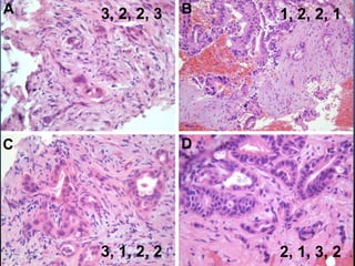 3, 2, 2, 3

1, 2, 2, 1

3, 1, 2, 2

2, 1, 3, 2

 