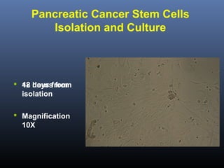 Pancreatic Cancer Stem Cells
Isolation and Culture

 48 hours from
12 days from

isolation
 Magnification

10X

 