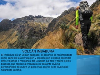 VOLCÁN IMBABURA
El Imbabura es un volcán apagado, el ascenso es recomendado
como parte de la aclimatación y preparación si desea ascender
otros volcanes o montañas del Ecuador. La flora y fauna de los
bosques que rodean al Imbabura es bastante diversa
permitiéndole descubrir un poco más acerca de la diversidad
natural de la zona.
 