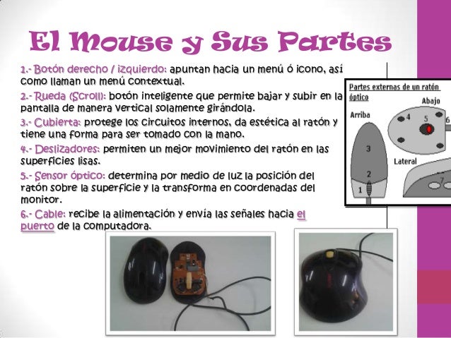 Resultado de imagen para mouse y sus partes