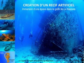 CREATION D’UN RECIF ARTIFICIEL
Immersion d’une épave dans le golfe de La Napoule

La Cigale Plongée Mandelieu La Napoule

 