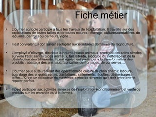 Fiche métier
• L’ouvrier agricole participe à tous les travaux de l’exploitation. Il travaille sur des
exploitations de toutes tailles et de toutes natures : élevage, cultures céréalières, de
légumes, de fruits ou de fleurs, vigne...
• Il est polyvalent, il doit savoir s’adapter aux nombreux domaines de l’agriculture.
• L’employé d'élevage, distribue la nourriture aux animaux, prodigue des soins simples,
surveille l'état sanitaire des animaux, fait la traite, s'occupe du nettoyage et de la
désinfection des bâtiments. Il peut également participer à la transformation des
produits : abattage des animaux, fabrication de fromages, de conserves…
• L’ouvrier peut aussi réaliser des opérations de culture de plein champ: labours,
épandage des engrais, semis, plantations, traitements, récoltes, désherbages,
tailles... C’est un utilisateur de machines agricoles diverses qu'il doit entretenir et
réparer parfois.
• Il peut participer aux activités annexes de l'exploitation (conditionnement et vente de
produits sur les marchés ou à la ferme).
 