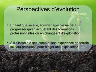 Perspectives d’évolution
• En tant que salarié, l’ouvrier agricole ne peut
progresser qu’en acquérant des formations
professionnelles ou en changeant d’exploitation.
• S’il s’installe à son compte, son expérience de terrain
lui sera précieuse pour diriger une exploitation.
 