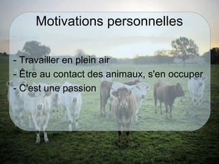 Motivations personnelles
- Travailler en plein air
- Être au contact des animaux, s'en occuper
- C'est une passion
 