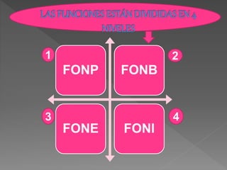 FONP FONB
FONE FONI
1 2
3 4
 