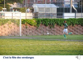 C’est la fête des vendanges
 