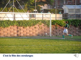 C’est la fête des vendanges
 