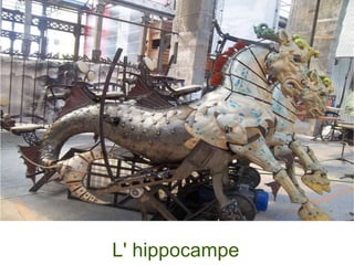 L' hippocampe 