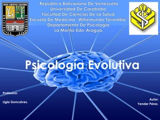 Profesora:
Ligia Goncalves.
Psicología Evolutiva
Autor:
Yender Pérez.
 