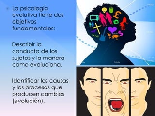  La psicología
evolutiva tiene dos
objetivos
fundamentales:
Describir la
conducta de los
sujetos y la manera
como evoluciona.
Identificar las causas
y los procesos que
producen cambios
(evolución).
 