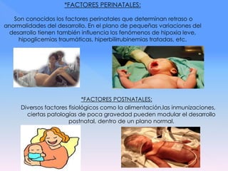 *FACTORES POSTNATALES:
Diversos factores fisiológicos como la alimentación,las inmunizaciones,
ciertas patologías de poca gravedad pueden modular el desarrollo
postnatal, dentro de un plano normal.
 