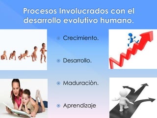  Crecimiento.
 Desarrollo.
 Maduraciòn.
 Aprendizaje
 