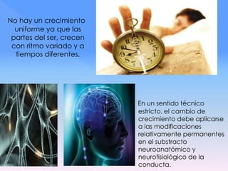 No hay un crecimiento
uniforme ya que las
partes del ser, crecen
con ritmo variado y a
tiempos diferentes.
En un sentido técnico
estricto, el cambio de
crecimiento debe aplicarse
a las modificaciones
relativamente permanentes
en el substracto
neuroanatómico y
neurofisiológico de la
conducta.
 