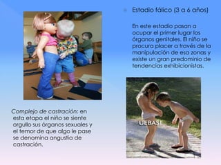  Estadio fálico (3 a 6 años)
En este estadio pasan a
ocupar el primer lugar los
órganos genitales. El niño se
procura placer a través de la
manipulación de esa zonas y
existe un gran predominio de
tendencias exhibicionistas.
Complejo de castración: en
esta etapa el niño se siente
orgullo sus órganos sexuales y
el temor de que algo le pase
se denomina angustia de
castración.
 