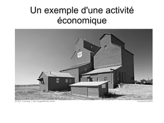 Un exemple d'une activité économique 