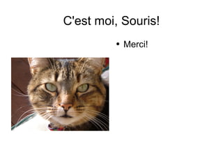 C'est moi, Souris! Merci! 