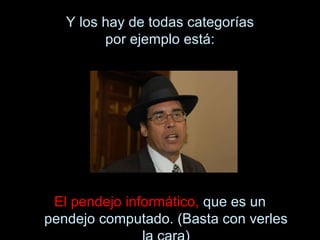 Y los hay de todas categorías
         por ejemplo está:




 El pendejo informático, que es un
pendejo computado. (Basta con verles
 