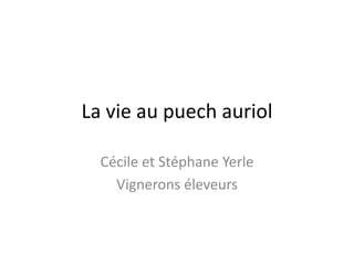 La vie au puechauriol Cécile et Stéphane Yerle Vignerons éleveurs 