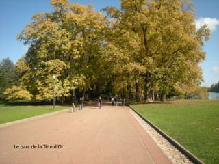 Le parc de la Tête d’Or
 