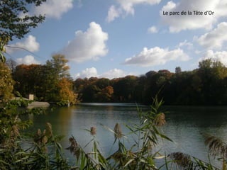 Le parc de la Tête d’Or
 