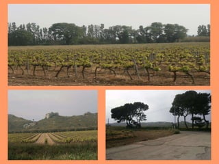 Belles vues de Lançon de Provence