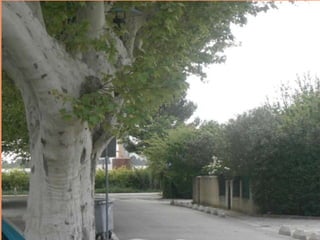 Belles vues de Lançon de Provence