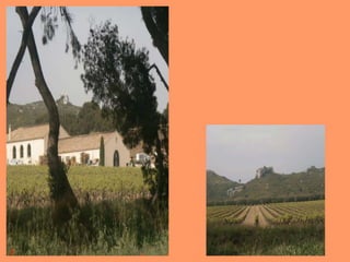 Belles vues de Lançon de Provence